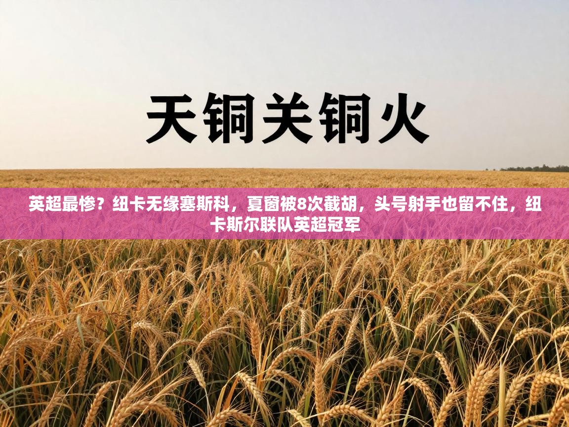 英超最惨？纽卡无缘塞斯科，夏窗被8次截胡，头号射手也留不住，纽卡斯尔联队英超冠军