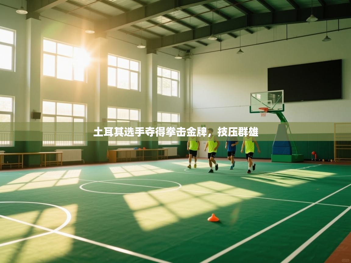 土耳其选手夺得拳击金牌,技压群雄 第1张