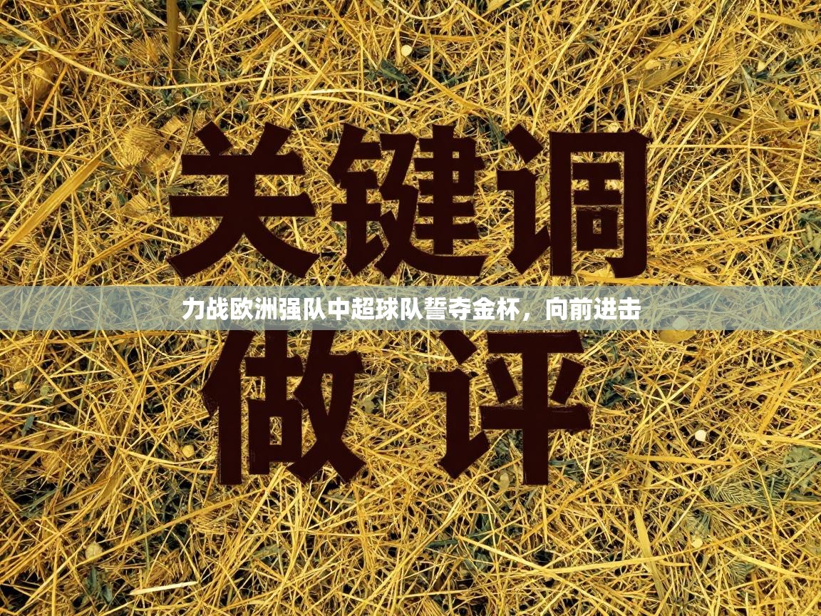 力战欧洲强队中超球队誓夺金杯,向前进击
