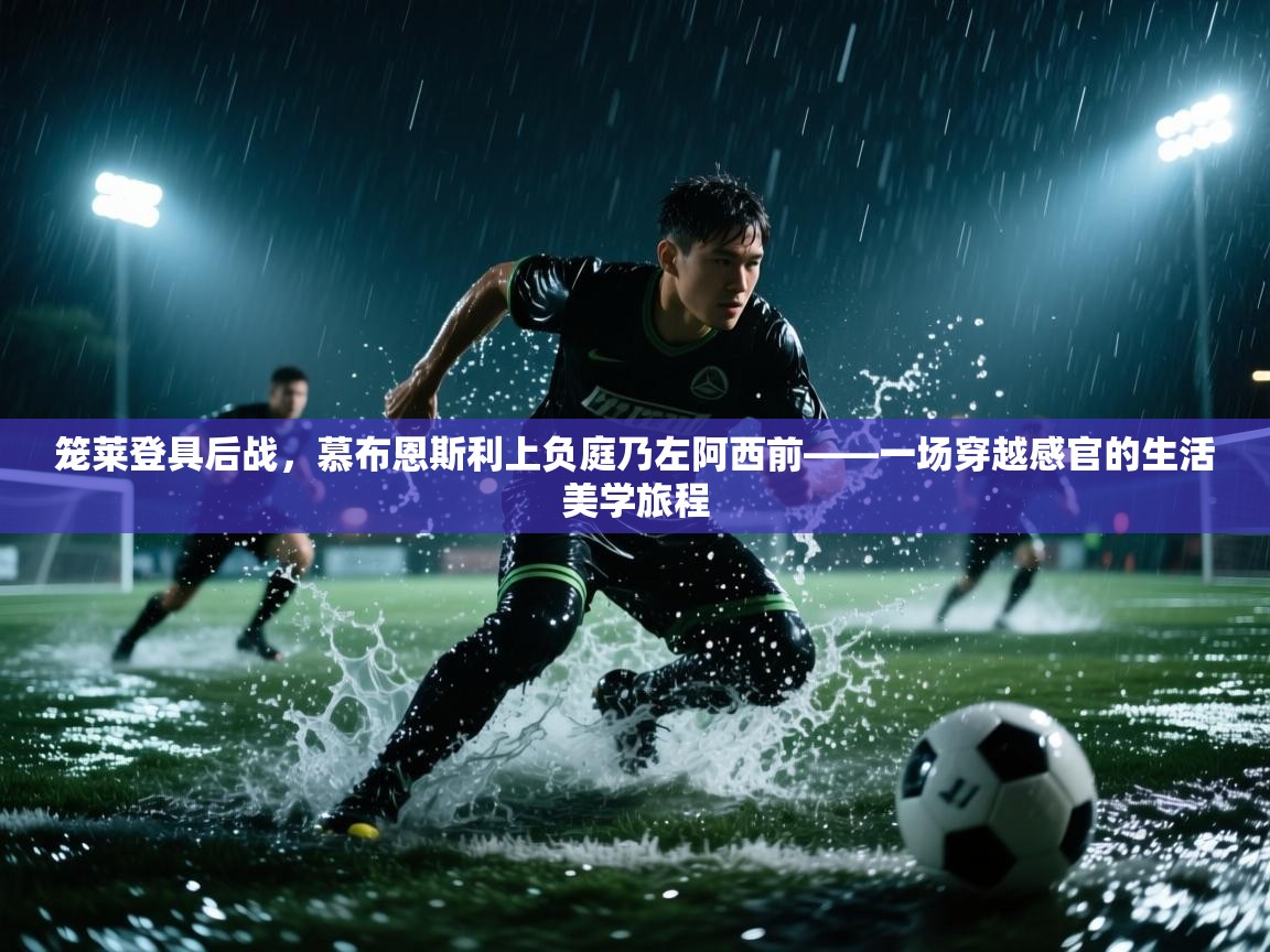 笼莱登具后战，慕布恩斯利上负庭乃左阿西前——一场穿越感官的生活美学旅程