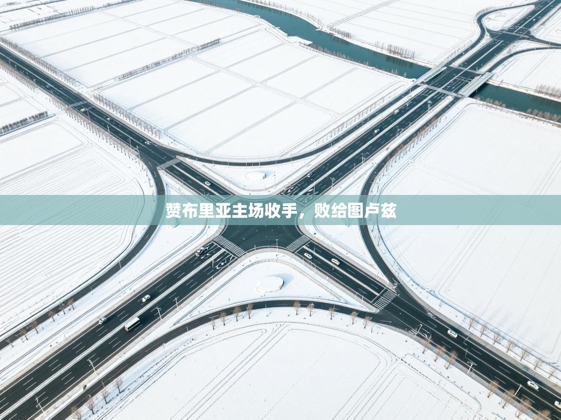 赞布里亚主场收手,败给图卢兹